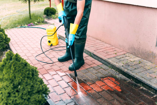 Best Roof Power Washing Services  in Mckeesport, PA